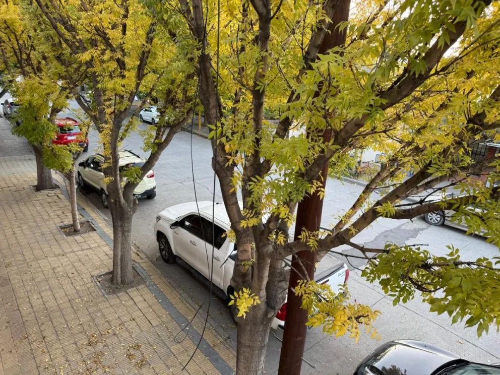 Desde la redacción de LCR, les compartimos esta postal bien otoñal.