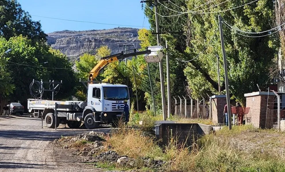 El álamo cayó sobre una red troncal y provocó un corte de energía que afecto a barrios de Regina. (Foto gentileza)