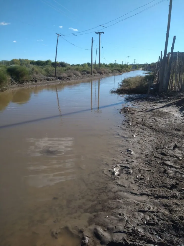 Los vecinos señalaron que no pueden salir de sus casas.