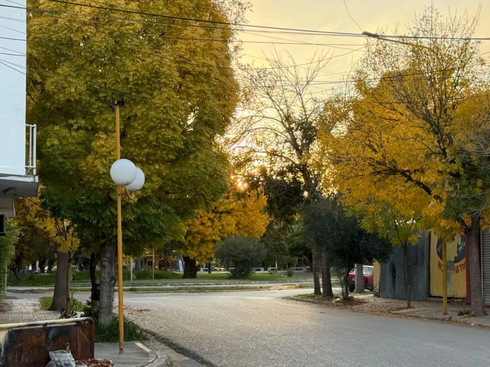 ¿Ya tienen planes para este domingo? Te dejamos nuestra recomendación.