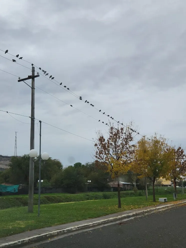 La interrupción del servicio duró menos de 15 minutos (Foto gentileza Edersa).