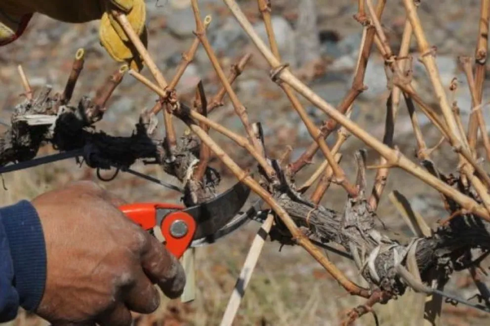 La capacitación está destinada a productores, trabajadores y quienes deseen formarse en la actividad.