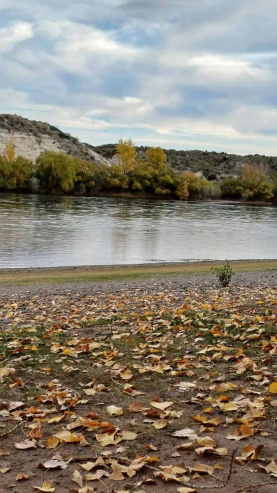 Postal otoñal de la Isla 58 (Foto: gentileza lectora de LCR)