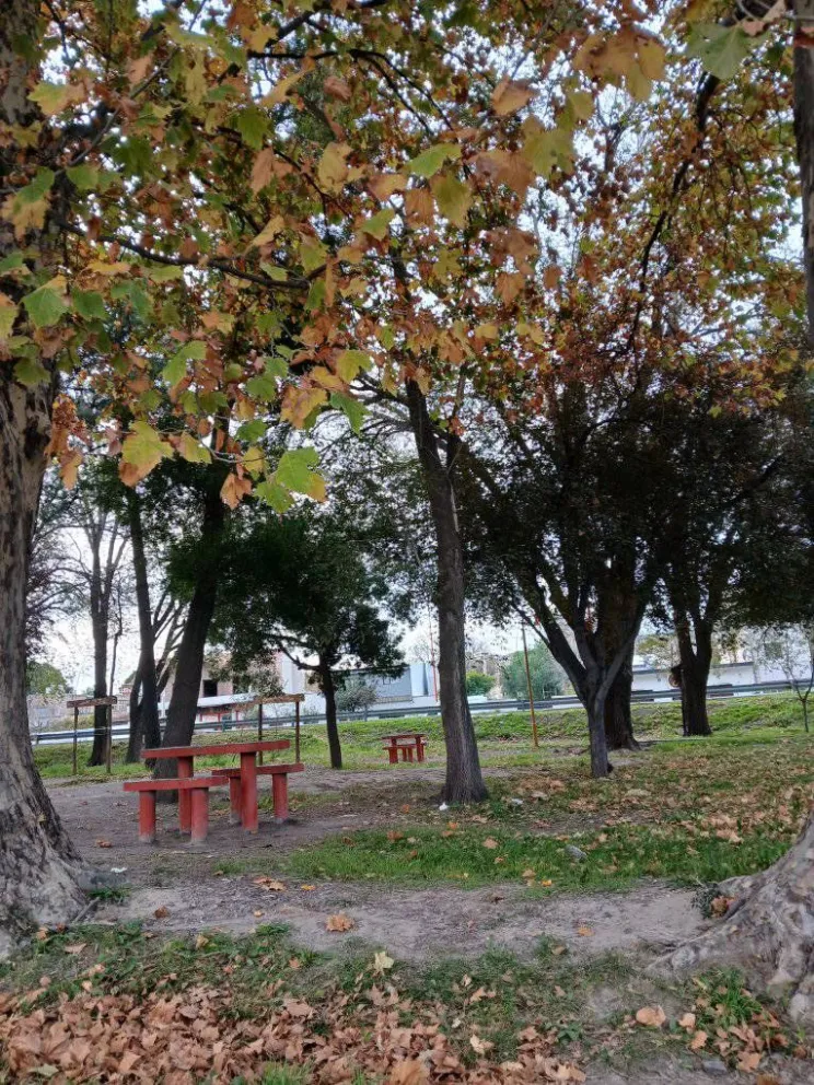 Foto registrada por Evelyn en un punto de la zona urbana de Villa Regina (gentileza).