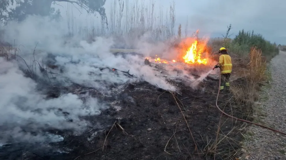 Incendio entre el kilómetro Nardini y la calle Juan XXIII. (Foto: Bomberos V.R)
