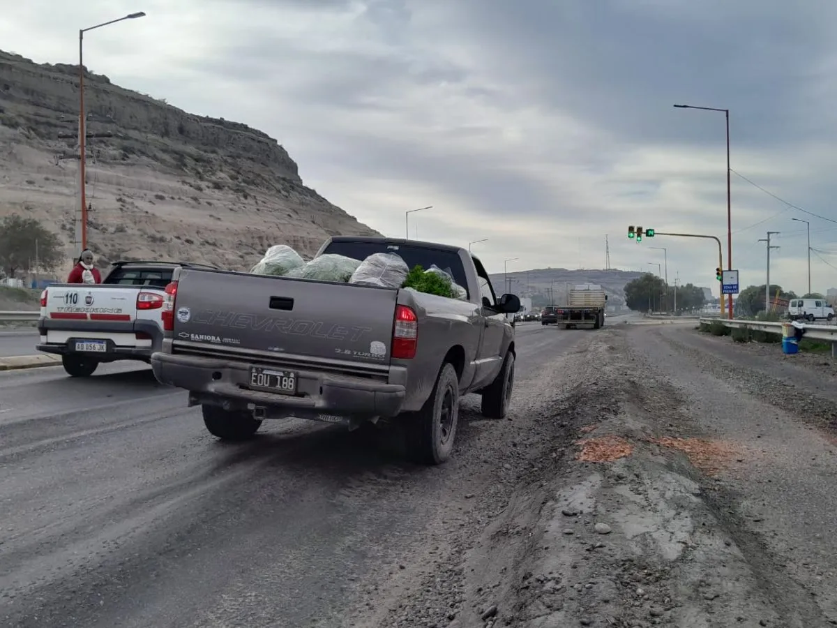 El tr&aacute;fico pesado y el sem&aacute;foro, son las principales causas del deterioro de la cinta asf&aacute;ltica. 