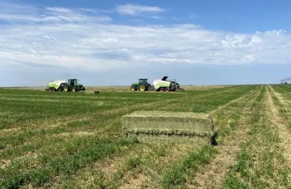 El fortalecimiento de la cadena de valor está acompañado por proyectos de infraestructura.