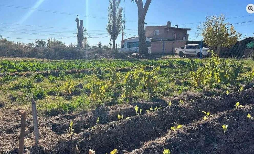 La comprometida situación se registró en el Vivero Municipal de Catriel. Foto: archivo.