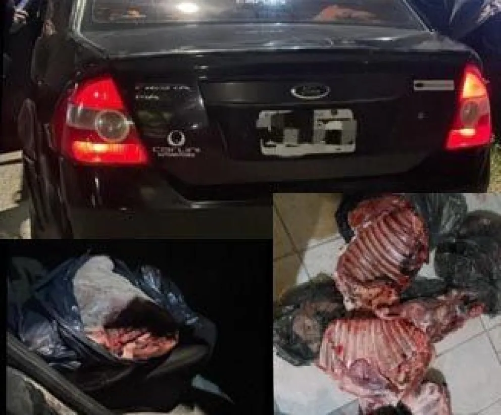 El vehículo circulaba desde Conesa con dirección a General Roca (Foto Policía RN).