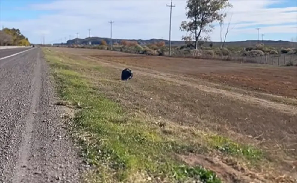 Las tareas de limpieza de banquinas comenzaron esta semana para mejorar los ingresos a Chichinales. (Foto gentileza)