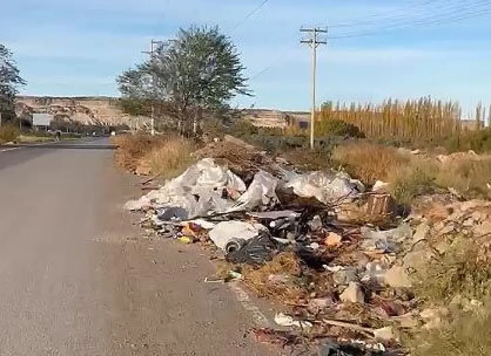 La imagen fue realizada por la vecina a fines de mayo. "Hoy está peor", dijo en las últimas horas. 