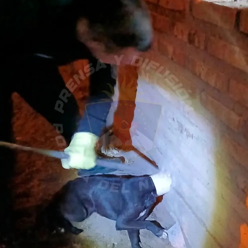 Con mucha paciencia y habilidad, los bomberos lograron rescatar al perrito que había quedado atrapado en el caño de desagüe. Foto: Policía de Neuquén.