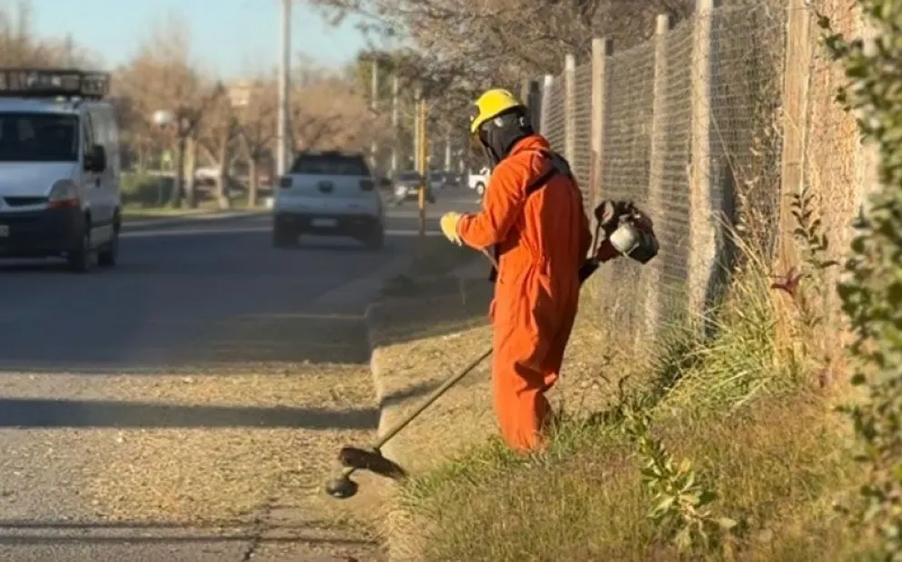 Esta semana comenzaron las tareas de fumigación y desmalezado en las márgenes del arroyo Salado. (Foto gentileza)