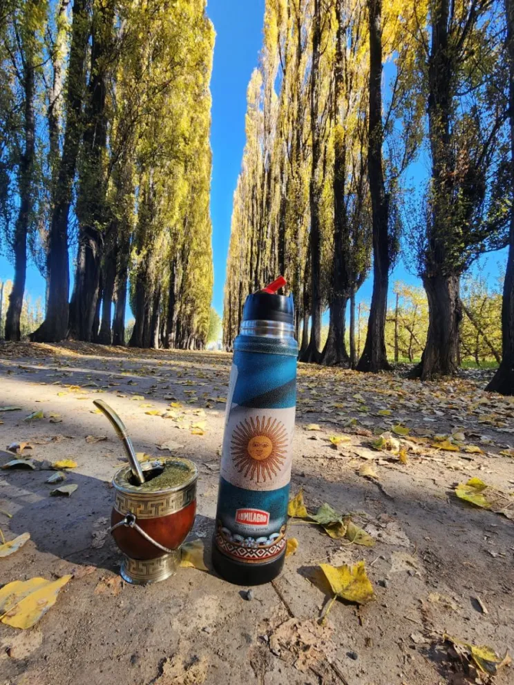 Pese al frío del invierno, el sol dirá presente durante gran parte del día (foto gentileza Nelson).