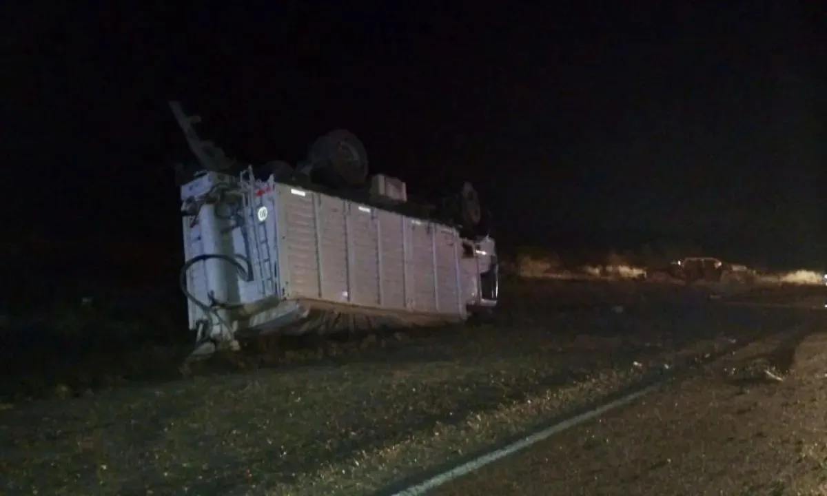 Kil&oacute;metro 1039