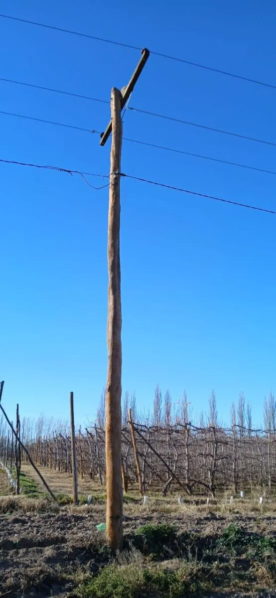 La reposici&oacute;n de lo robado, dijeron desde la Municipalidad, significa un elevado costo (foto Municipio VR).