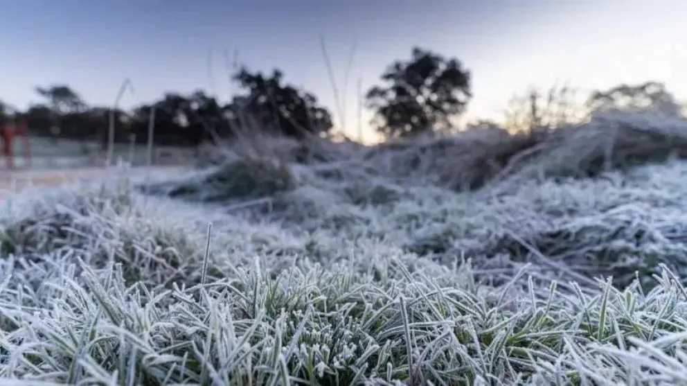 Entre las cinco ciudades más frías de Argentina, dos son de Río Negro.