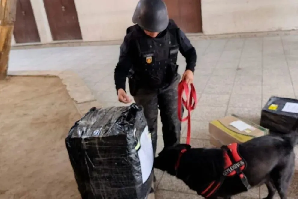 Durante el operativo requisaron la sala de recepción de clientes y la zona de paquetes. (Foto Policia del Neuquén)