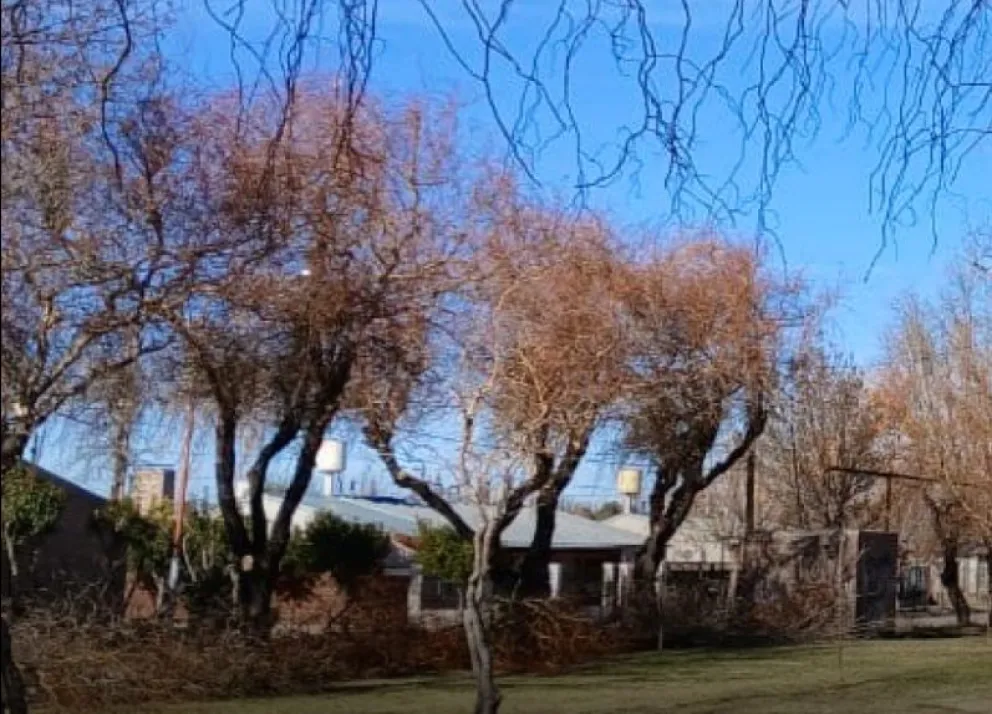 En la plaza del barrio Tierra del Fuego se hicieron trabajos para acondicionar el espacio verde. (Foto gentileza)