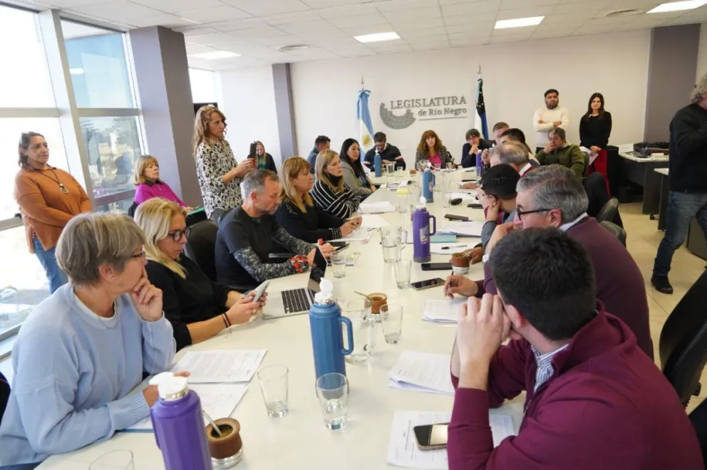 Se trató en la Comisión de Cultura, Educación y Comunicación Social.