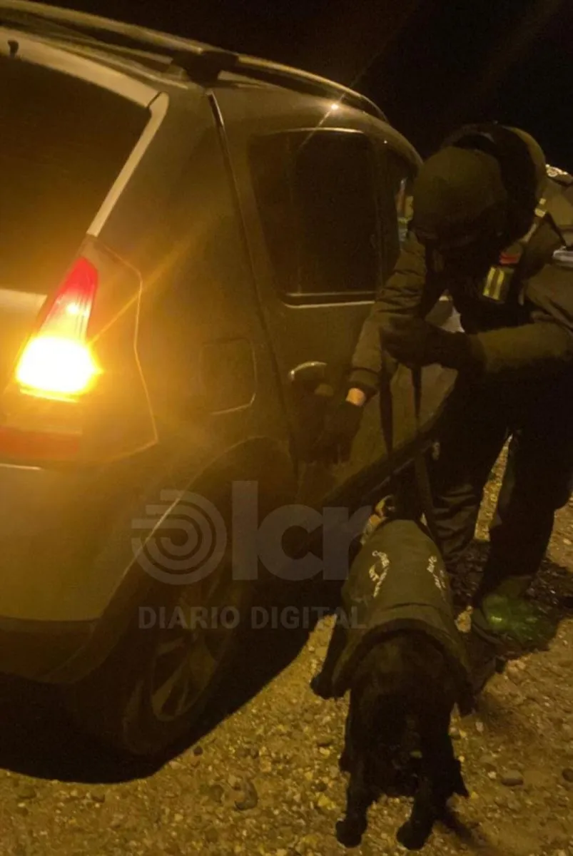 El can Ciro reaccion&oacute; al pasar por la puerta trasera del lado derecho del rodado (foto gentileza).