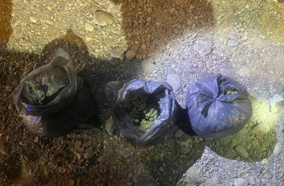 Ciro y Gendarmer&iacute;a secuestraron dos kilos de marihuana: los sospechosos ser&iacute;an de Regina