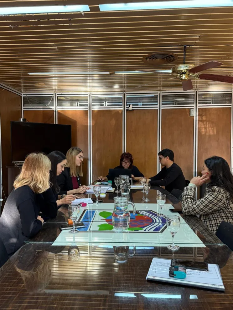 Retro Palas SRL y ZIGMA SA fueron las empresas oferentes (foto Municipio VR).