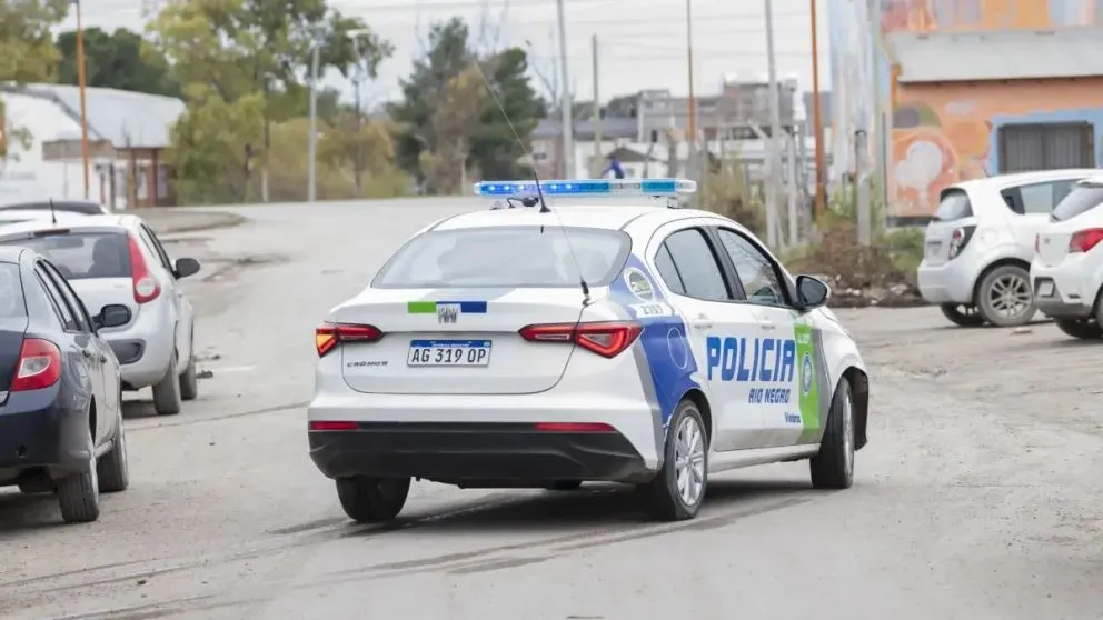 El primer ataque ocurrió el sábado 5 de julio, cuando la golpeó a ella y agredió a la policía. (Foto gentileza)