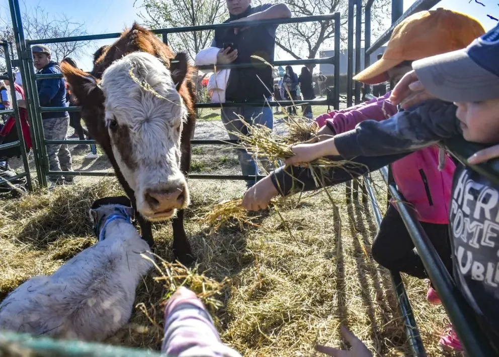 Llevaron tres ejemplares y realizó un balance positivo de su presencia en la tradicional muestra ganadera.