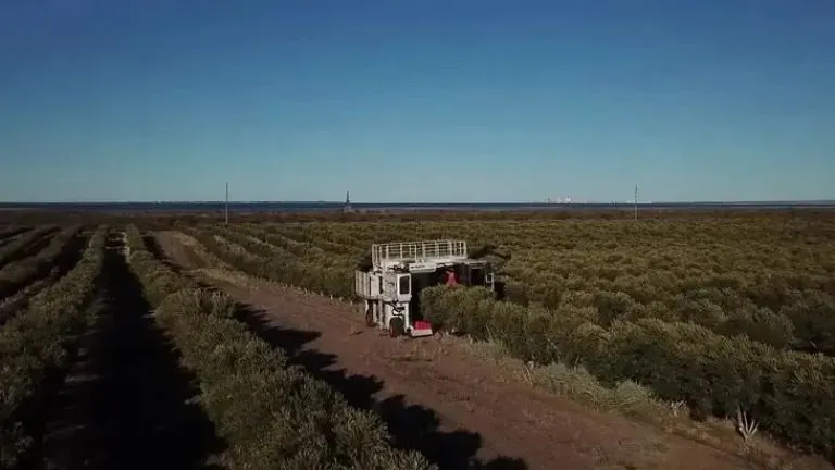 Por la zona, la producci&oacute;n rionegrina tiene una condici&oacute;n &uacute;nica en el pa&iacute;s