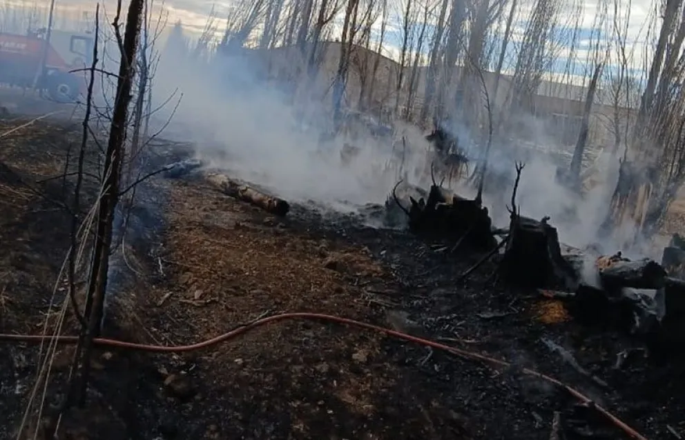 El incendio se registró en la zona rural entre Regina y General Enrique Godoy. (Foto gentileza)