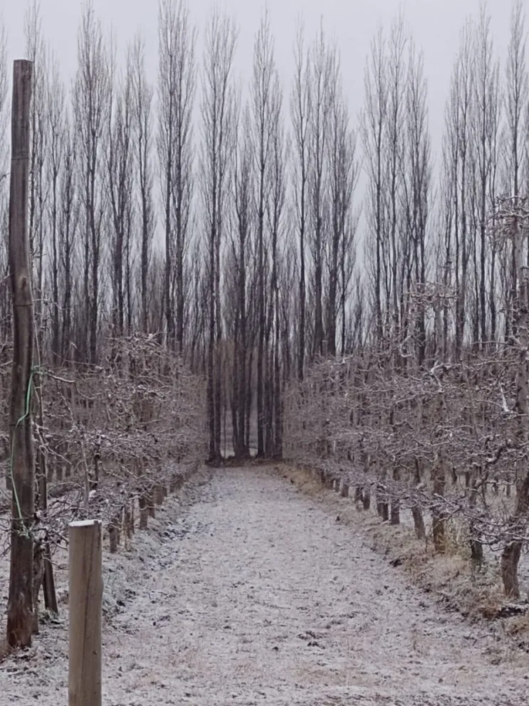 Postal nevada de ayer en la zona de chacras, registrada por una lectora de LCR.