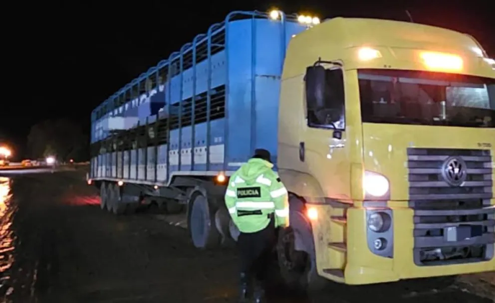 Se comprobó que el camión tenía un pedido de secuestro vigente del año 2020. (Foto gentileza)