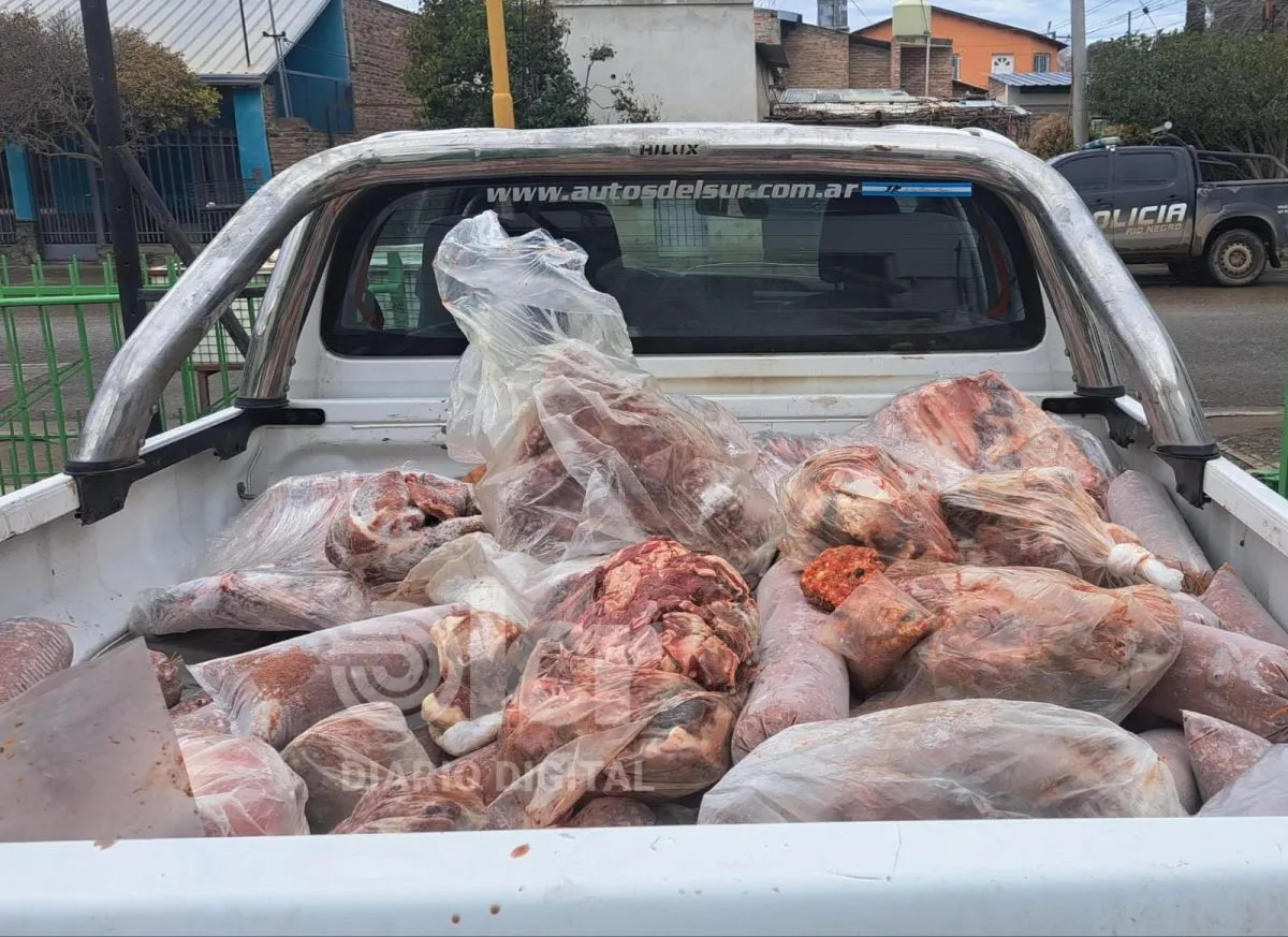 Los inspectores junto a la polic&iacute;a visitaron 20 carnicer&iacute;as.