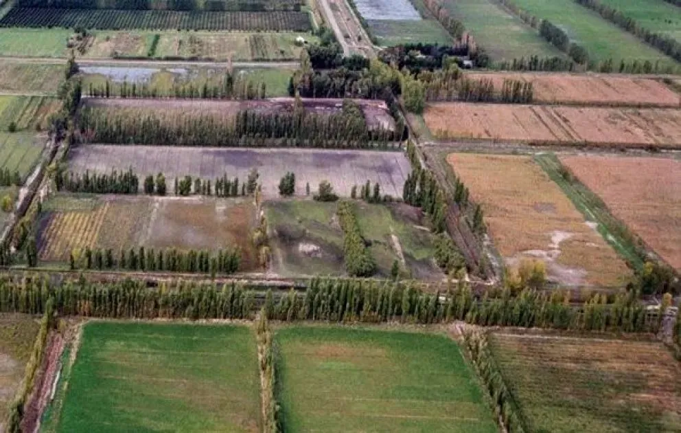 Se inició un monitoreo en la zona en conjunto con productores y técnicos.