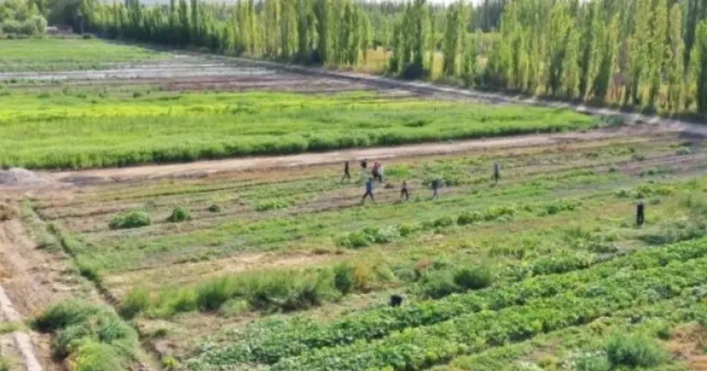 El barrio Néstor Kirchner está entre Roca y Cervantes. (Foto: ANRoca)