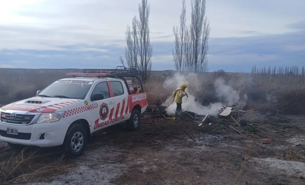 Bomberos tuvo que salir en dos oportunidades para actuar en incendios forestales en Regina. (Foto gentileza)
