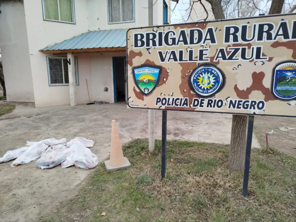 La carne fue secuestrada en un procedimiento en el acceso al puente de Valle Azul. (Foto gentileza)