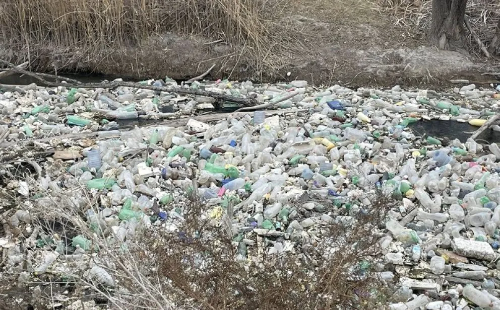En el arroyo Salado detectaron una gran cantidad de envases plásticos flotando y restringiendo el paso de agua. (Foto gentileza)