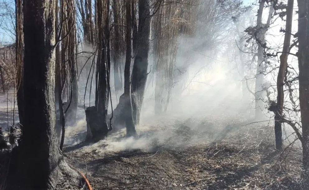 Este miércoles por la tarde, Bomberos intervino en un incendio en inmediaciones de la Escuela Primaria N° 105
