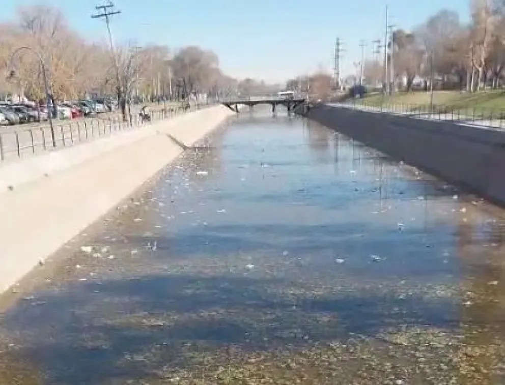 Con la tradicional apertura de compuertas realizada el 19 de agosto en el Dique Ingeniero Ballester, el Gobierno de Río Negro inauguró la temporada de riego 2025- 2026.