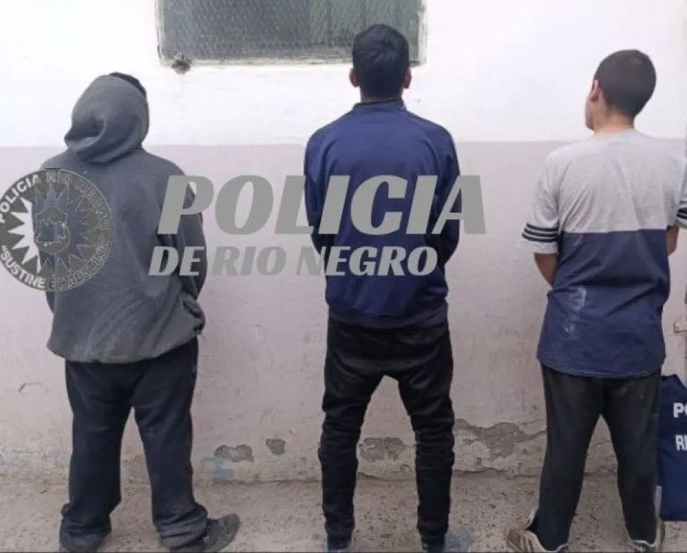 Los sujetos fueron sorprendidos con tres bolsas cargadas con verduras al momento de la aprehensión (Foto Policía RN).