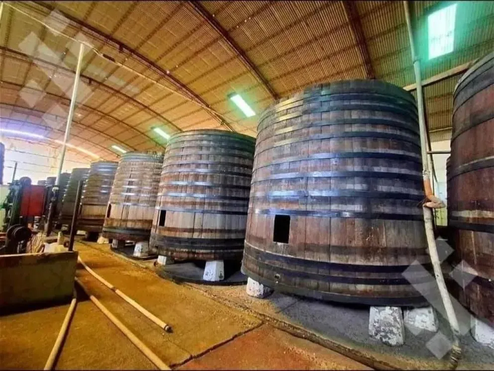 El predio abarca más de 3 hectáreas y cuenta con una construcción de 2.300 metros cuadrados.