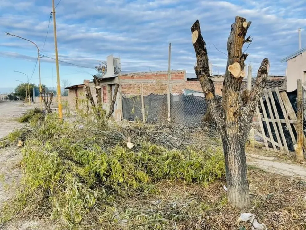 Los frentistas deberán retirar y disponer en lugares habilitados los restos de poda que generen. (Foto archivo)