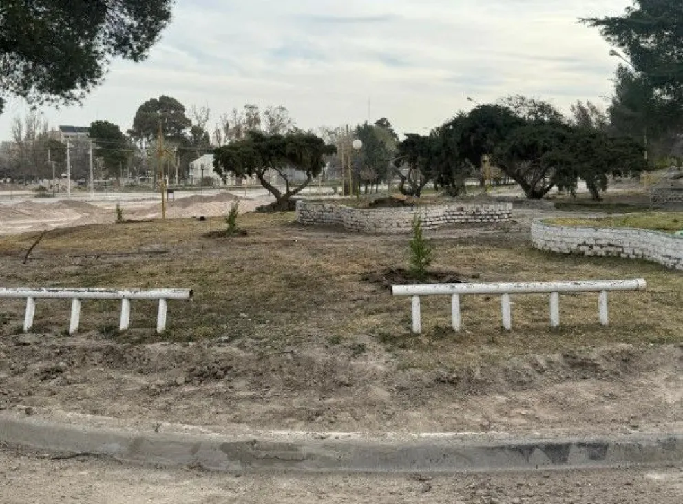 Los pinos se plantaron el miércoles y ayer fueron sacados (Foto Municipio VR).