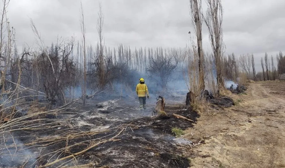 El viento y las condiciones del campo, complicaron el trabajo de bomberos voluntarios. (Foto gentileza)