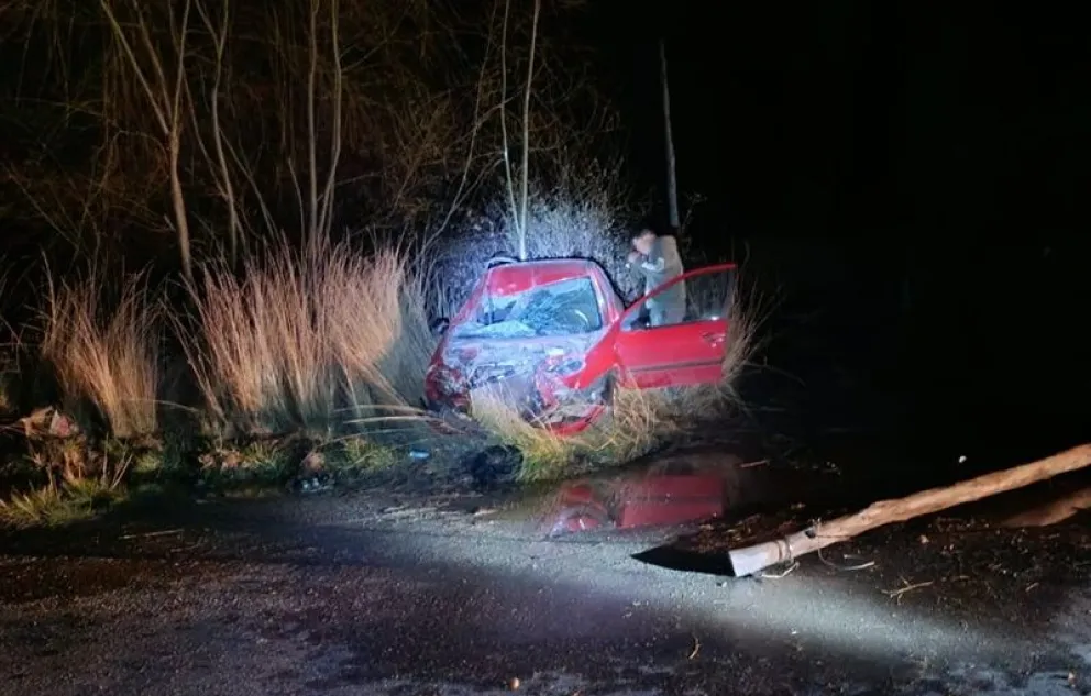 El conductor del Peugeot 206 se encontró con el caballo sobre el camino y no pudo esquivarlo. (Foto gentileza)