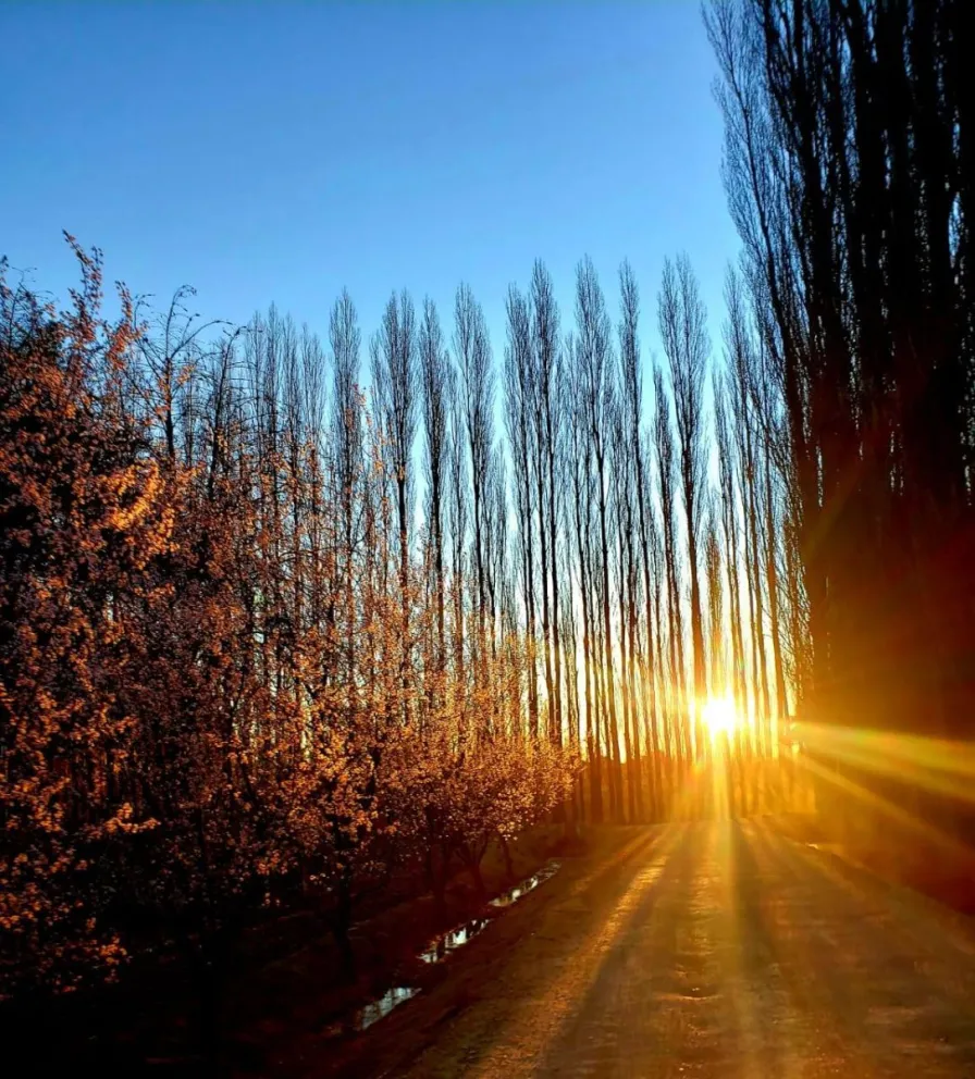 La primavera parece llegar con calor anticipado (Foto gentileza Nelson).