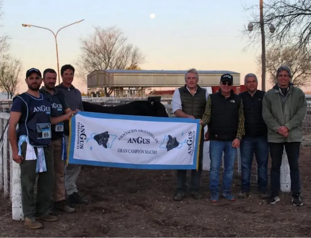 Con fuerte presencia en las principales exposiciones rurales de la región. (FACEBOOK)