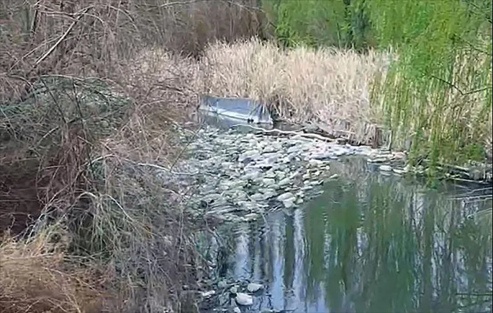 El Consorcio de Riego y Drenaje detectó una importante cantidad de residuos flotando en el arroyo Salado. (Foto gentileza)